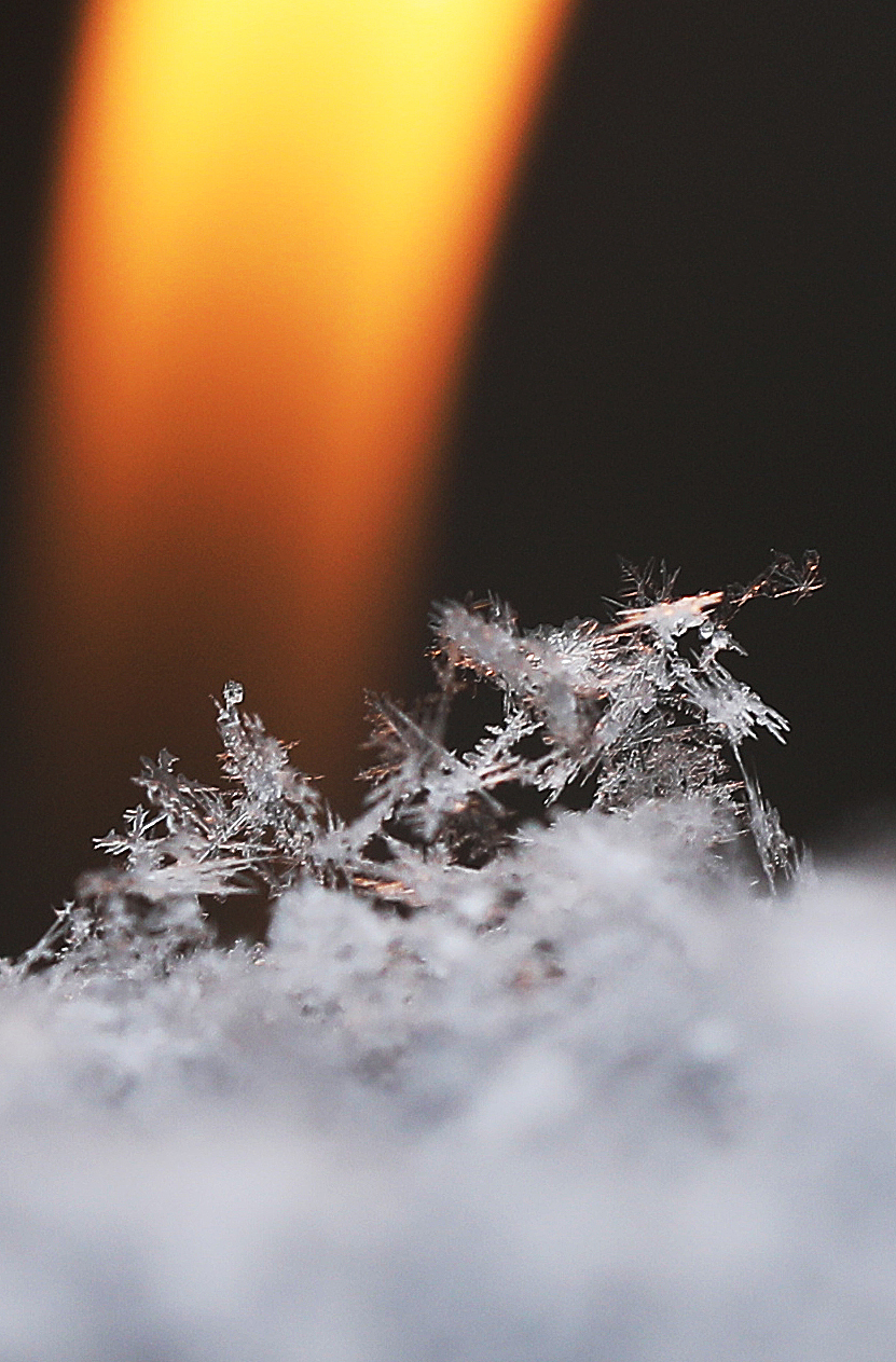 北京的雪(白色情人节)