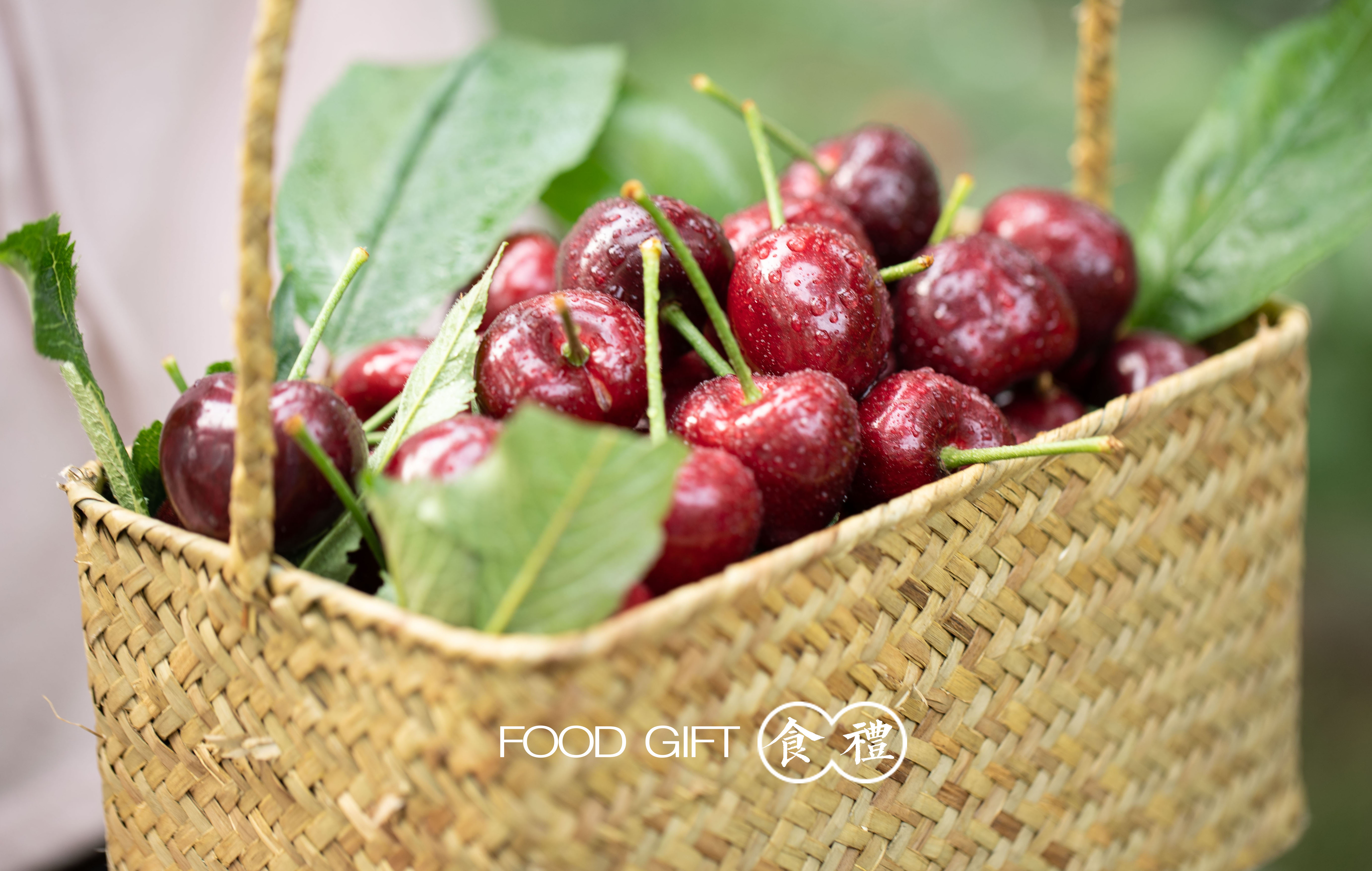 大言攝影工作室的個人主頁（封面預(yù)覽） - 主頁封面設(shè)置 - 站酷設(shè)計師大言攝影工作室原創(chuàng)素材 - 站酷ZCOOL