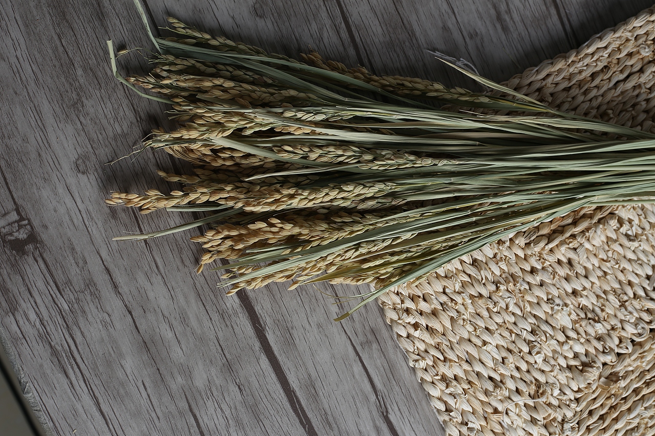 大米（图ZMzc5NzMwNzY=） - 产品摄影 - 站酷设计师周大富80原创素材 - 站酷ZCOOL