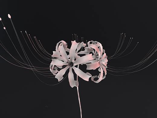 C4D彼岸花练习