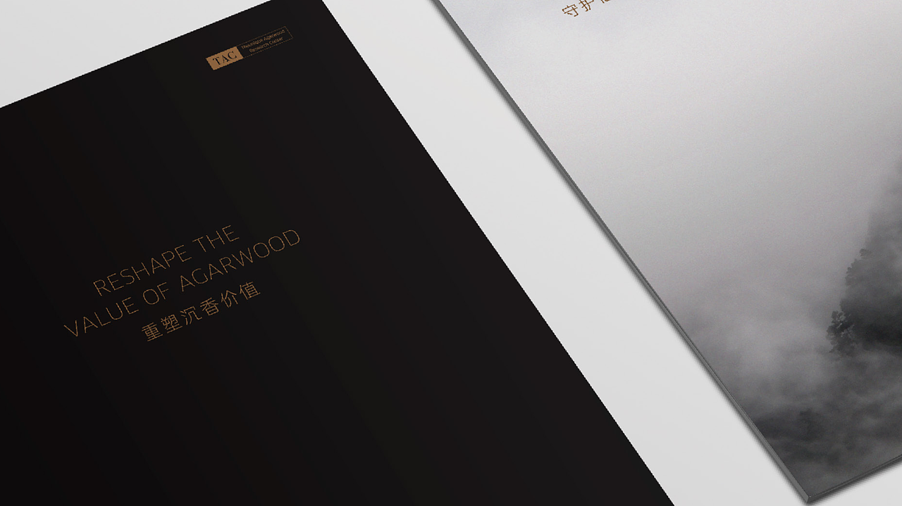 太樾车载香薰包装设计