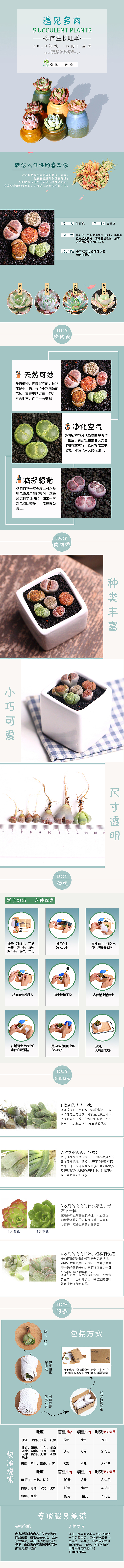 多肉详情页（图ZMTgzMzkyMzIw） - 电商 - 站酷设计师苍梧弥泥原创素材 - 站酷ZCOOL