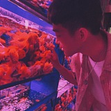 刘嘉希的头像