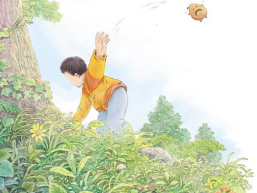 一颗种子的奇遇