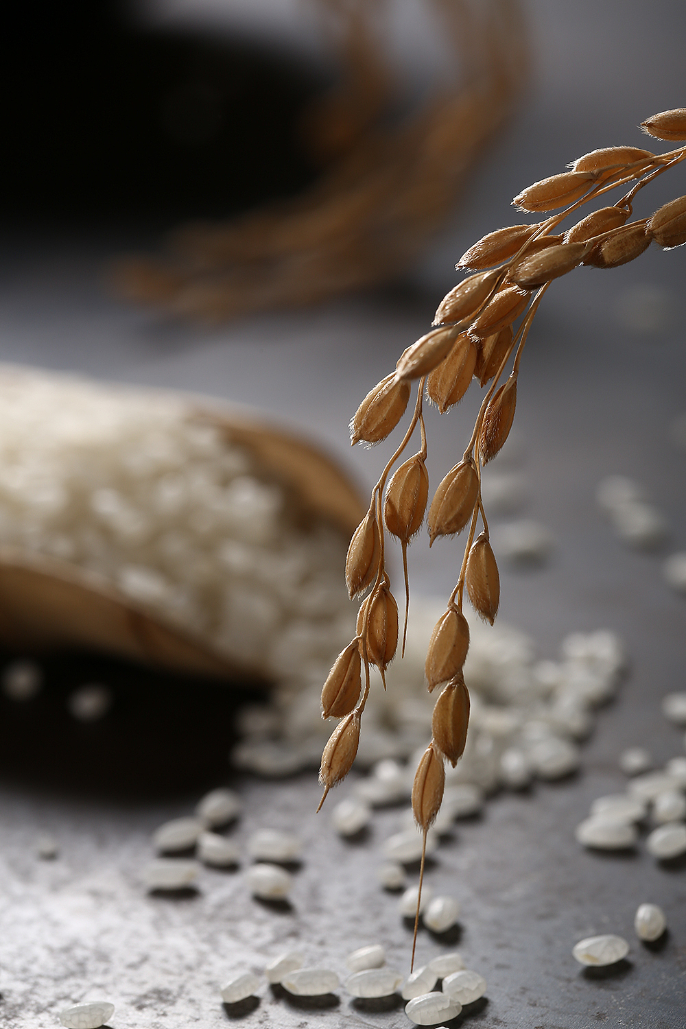 太极米创意拍摄大米场景拍摄电商食品拍摄mo2摩图