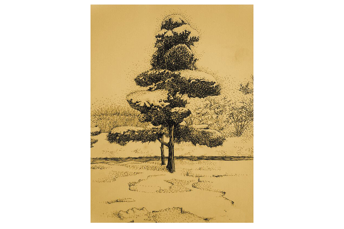 高中時(shí)候的速寫（圖ZMTA3NTI4Nzg0） - 繪畫 - 站酷設(shè)計(jì)師糖小呆原創(chuàng)素材 - 站酷ZCOOL