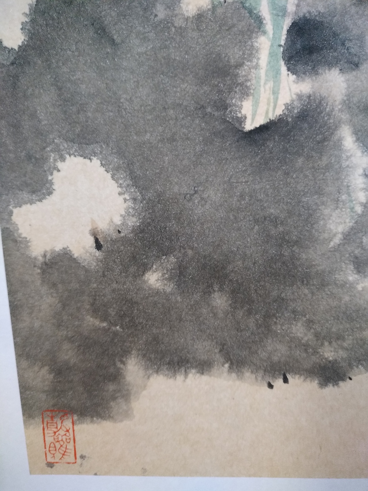 春到蘭芽分外長!