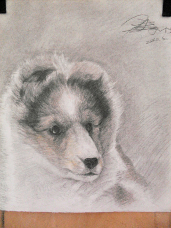 食力先生的涂涂画画 8（图ZMTM0MDMxNjIw） - 绘画 - 站酷设计师食力先生king原创素材 - 站酷ZCOOL