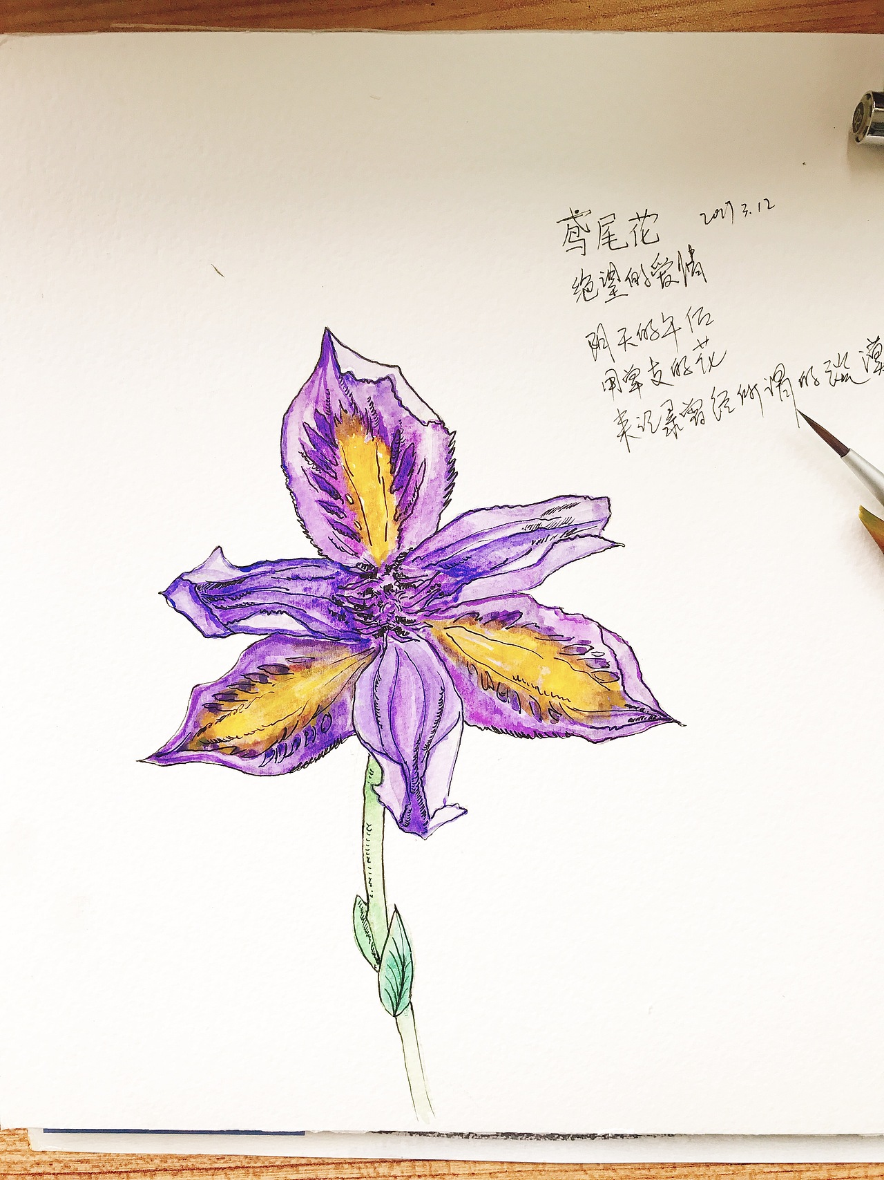 一种花一个爱情（图ZNzMyNzUzMDA=） - 创作习作 - 站酷设计师SoYenoo原创素材 - 站酷ZCOOL