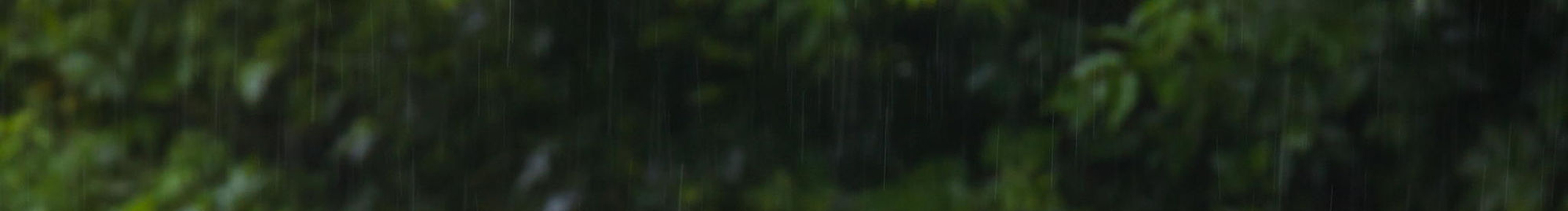 不止于學(xué)習(xí)的個(gè)人主頁(yè)（封面預(yù)覽） - 主頁(yè)封面設(shè)置 - 站酷設(shè)計(jì)師不止于學(xué)習(xí)原創(chuàng)素材 - 站酷ZCOOL