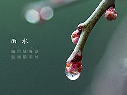 雨水