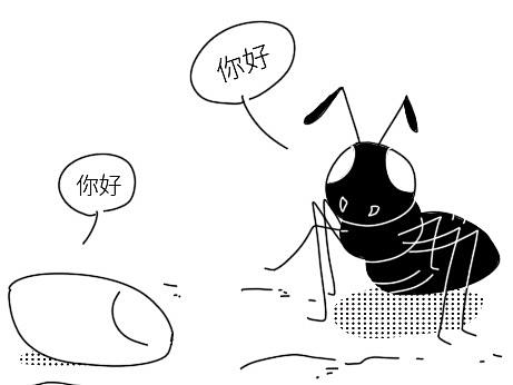 蚂蚁与大米