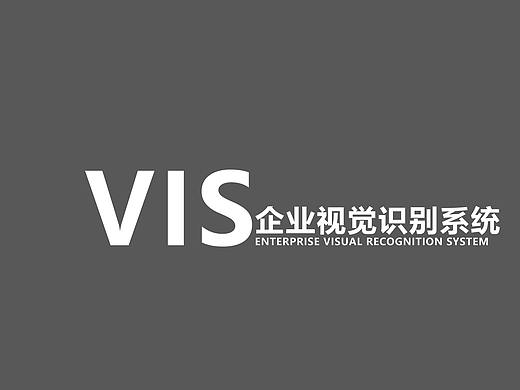 VIS手册