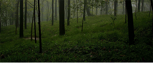 走心一波电商视觉创意海报小景合成练习/大神轻喷~（图ZODY0NTExMjg=） - 电商 - 站酷设计师慧美原创素材 - 站酷ZCOOL