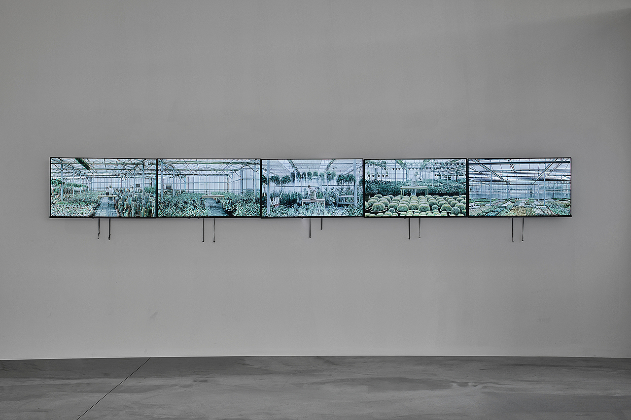 世纪·浪潮——2020海花岛国际艺术邀请展之作品