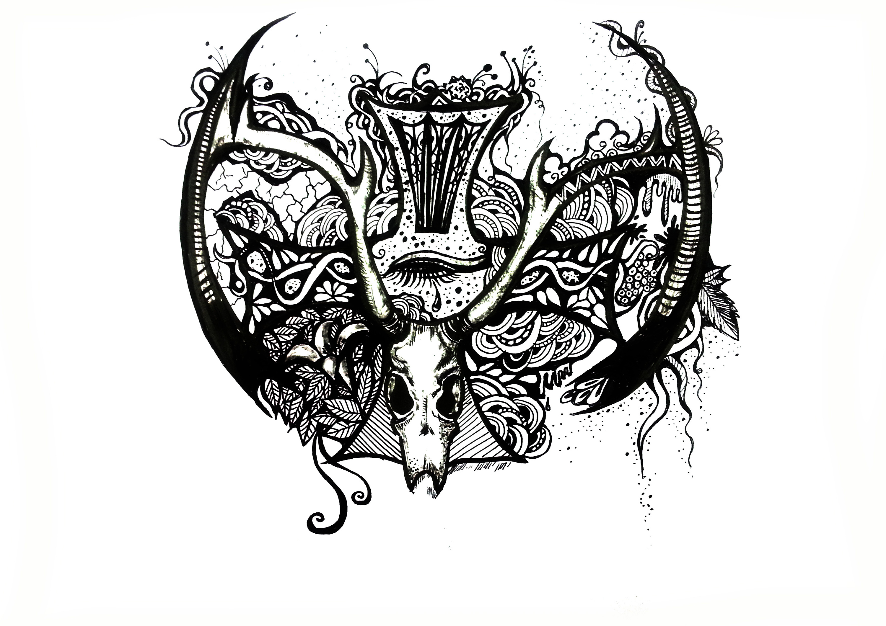 由草莓君引发的一系列联想