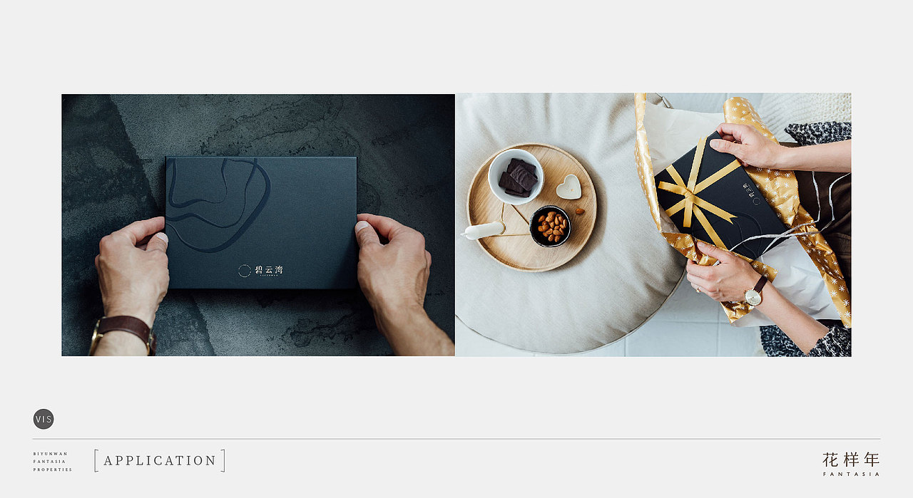 花样年碧云湾—提报视觉