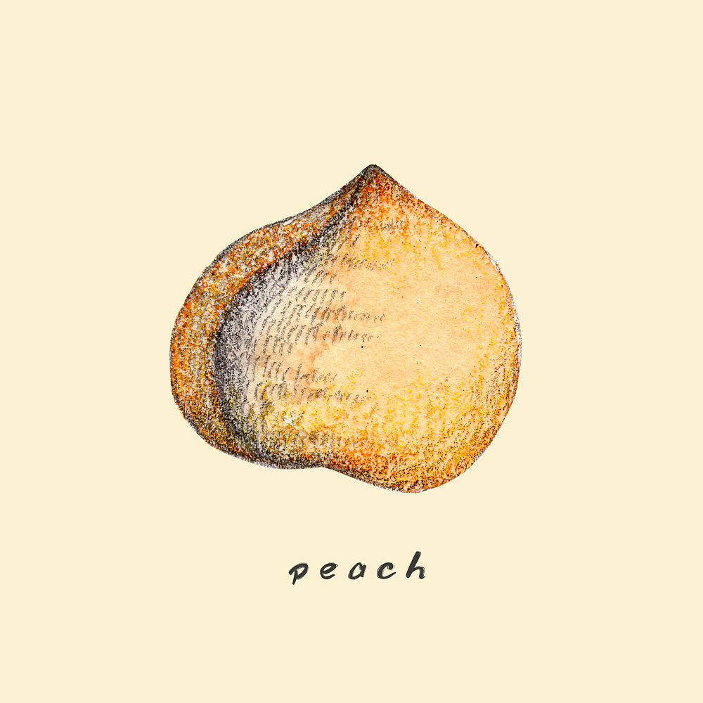 一组黄色的水果系列小画（图ZMTc3NTc5MDQ4） - 创作习作 - 站酷设计师ZY乡野原创素材 - 站酷ZCOOL