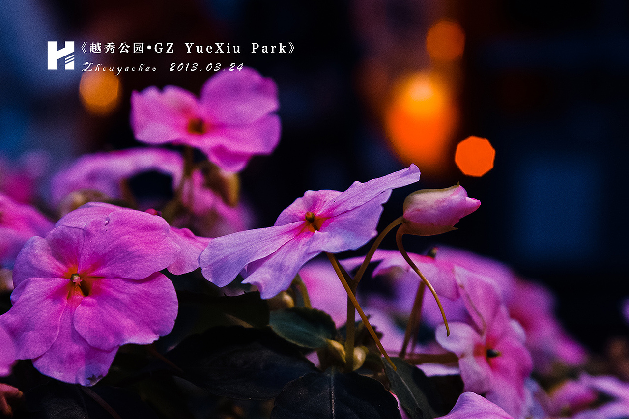 越秀公园.GZ YueXiu Park（图ZODc3MzQ4OA==） - 风光摄影 - 站酷设计师haodychou原创素材 - 站酷ZCOOL