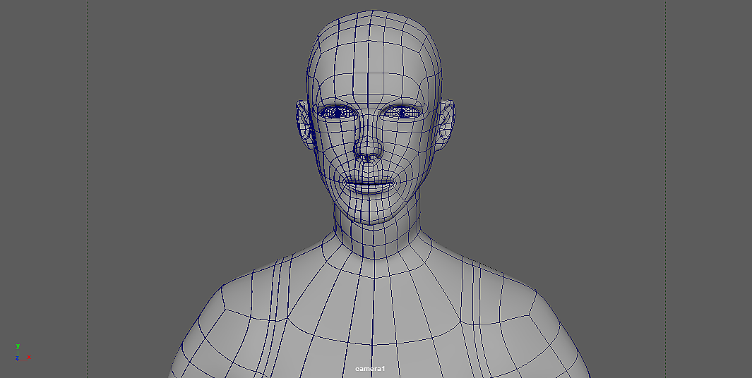 第一次做角色,角色模型