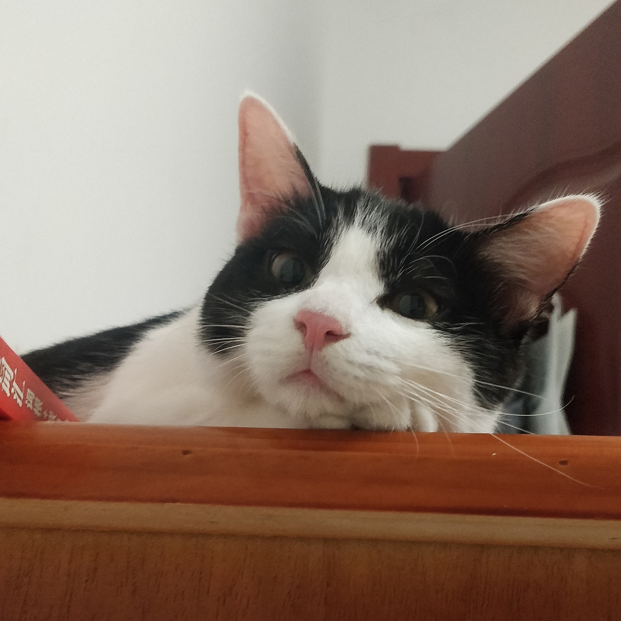 占（图ZMjk3MzgyODIw） - 软件界面 - 站酷设计师巴拉不说话原创素材 - 站酷ZCOOL