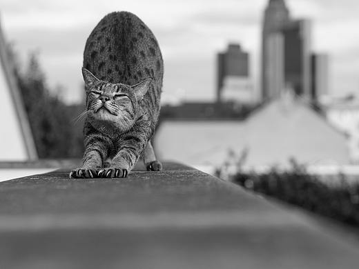 隐舍瑜伽系列海报