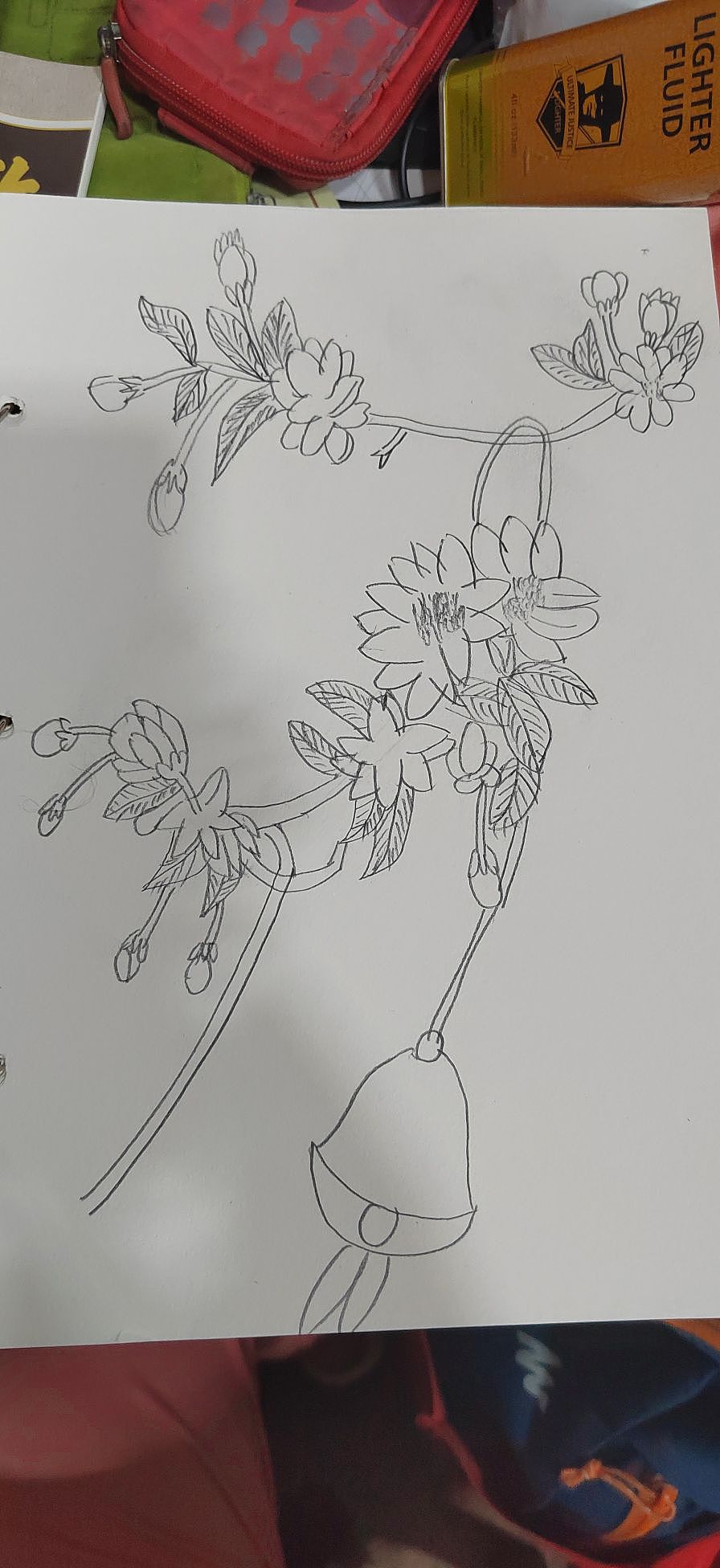 白描。自动铅笔画画。垂丝海棠。