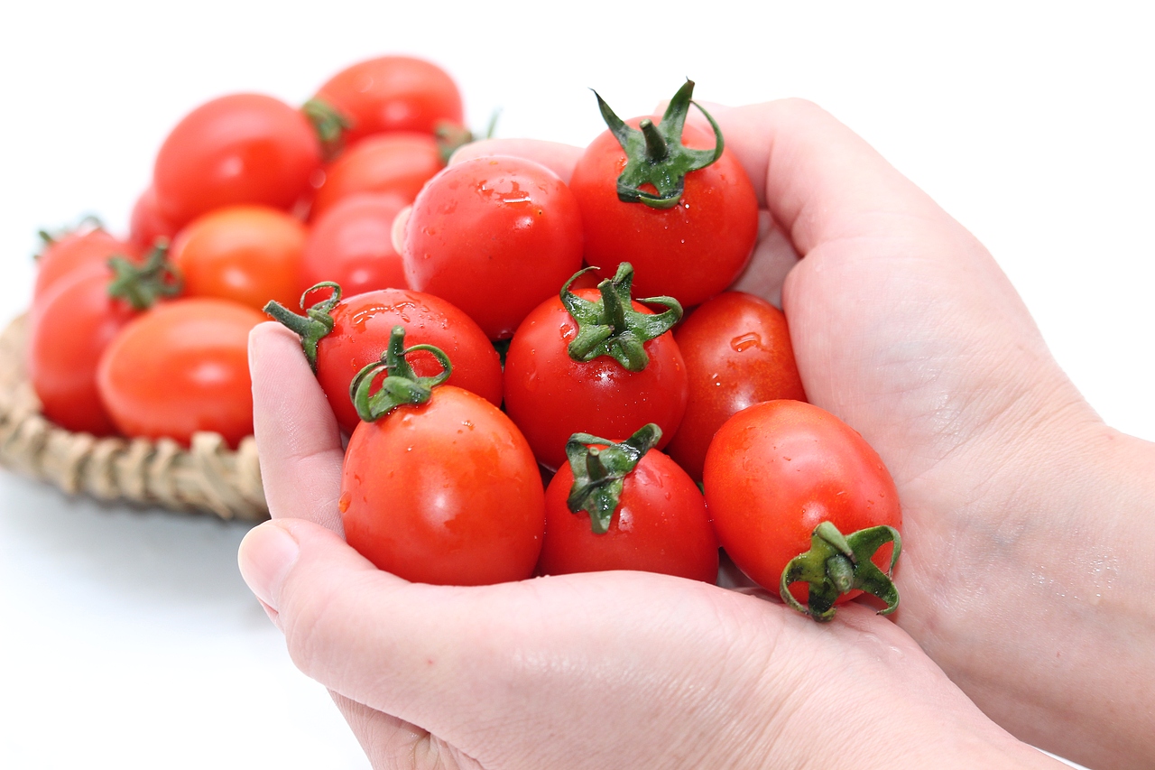 圣女果摄影详情页（图ZMzA3NDk1MTgw） - 宣传物料 - 站酷设计师方蓝Fl原创素材 - 站酷ZCOOL