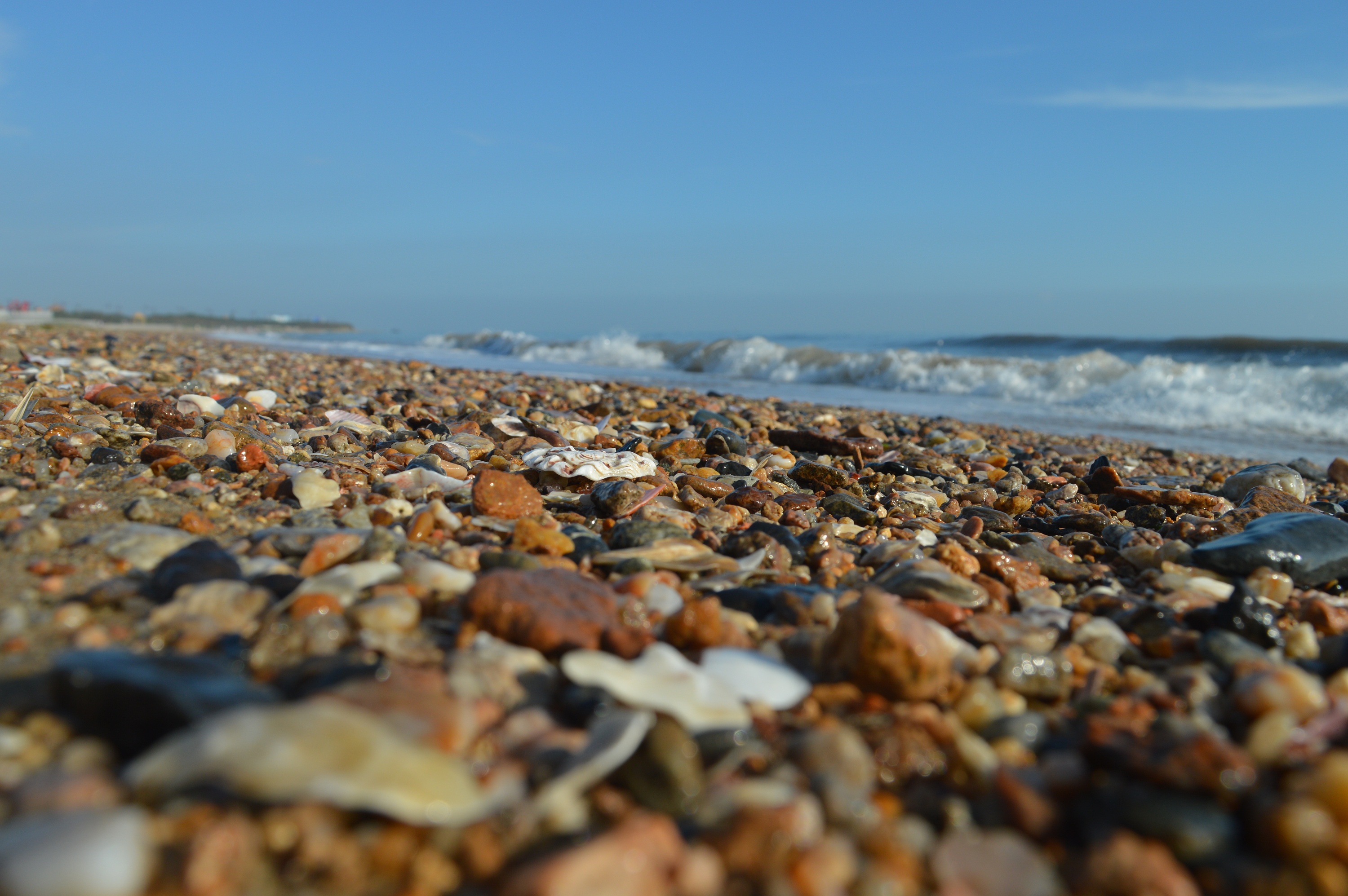 海 海浪 海滩 贝壳 摄影贝壳 沙滩 清晨海滩