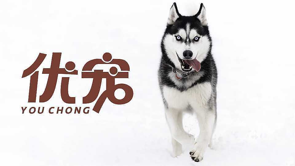 塞德斯18届学员练习作品集14