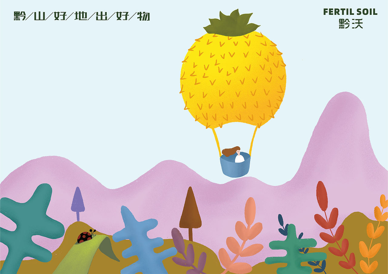 黔沃刺梨品牌与包装设计