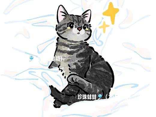 猫咪照片转可爱插画，定制图