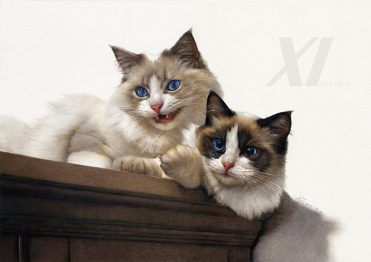 彩铅画－这里有50只喵星人（图ZNDkyMDEzMTY=） - 绘画 - 站酷设计师祥雷原创素材 - 站酷ZCOOL