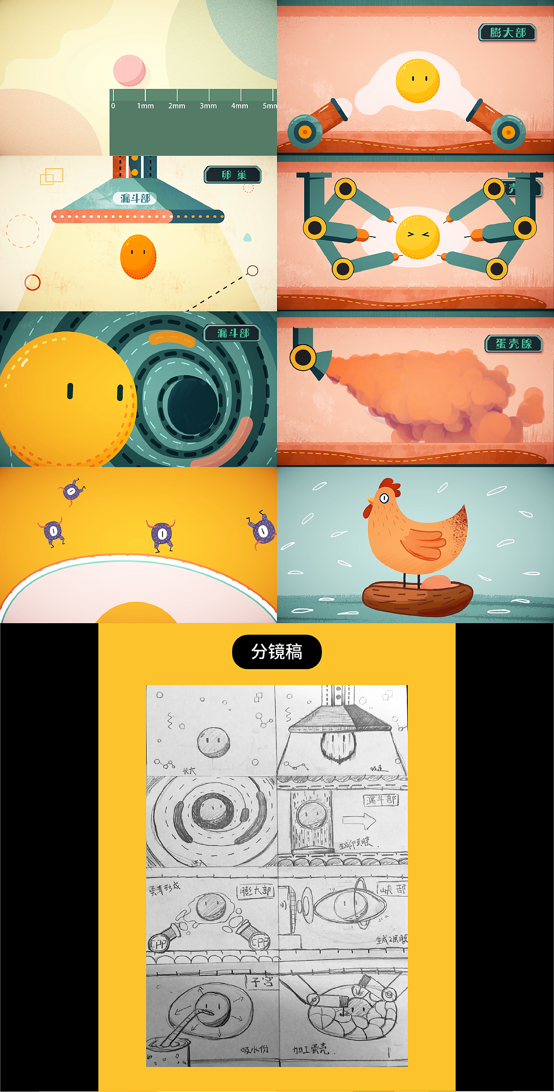 鸡蛋的形成松花蛋的制作方法科普动画