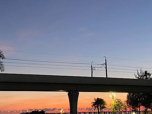 西湾红树林公园