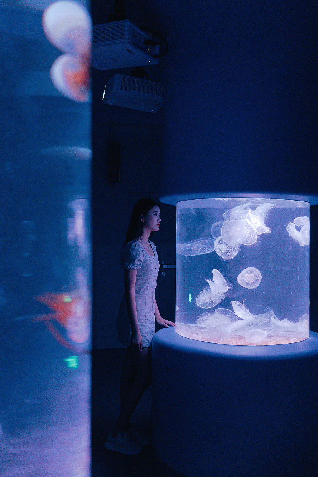 「海底蓝洞」•海洋奇梦馆（图ZMjY2MDc2Mzk2） - 人像摄影 - 站酷设计师寶兒boa原创素材 - 站酷ZCOOL