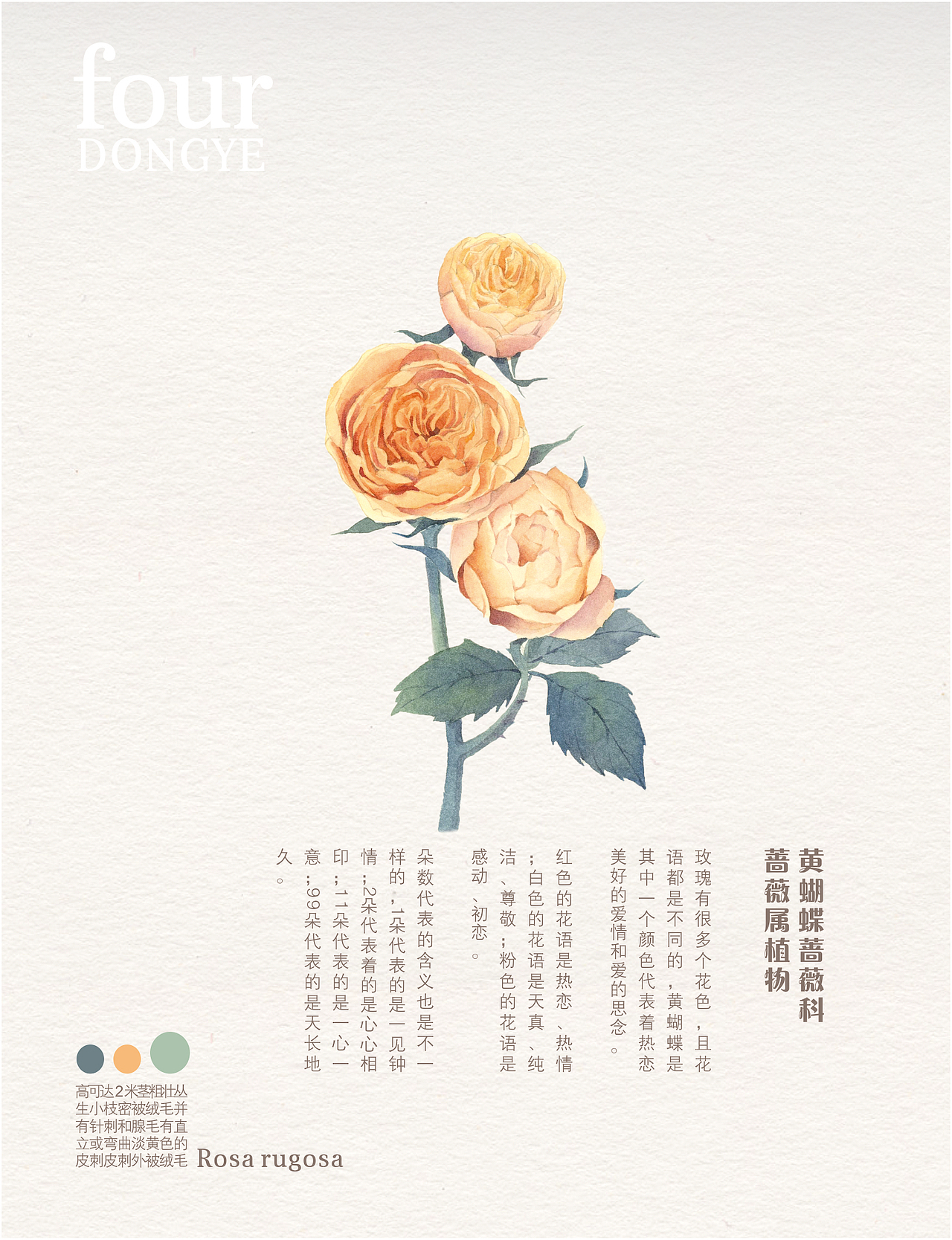 绘花（图ZMjQ5NzA1NzA0） - 绘本 - 站酷设计师红耳环姑孃儿原创素材 - 站酷ZCOOL
