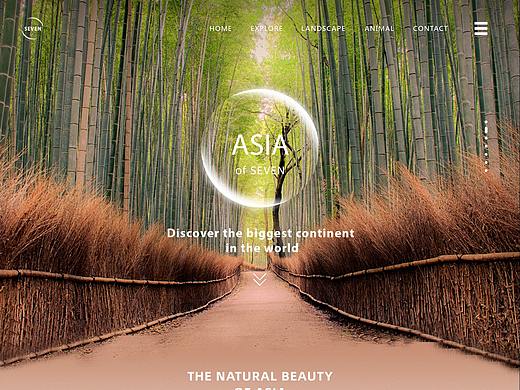 七个世界一个星球web概念设计