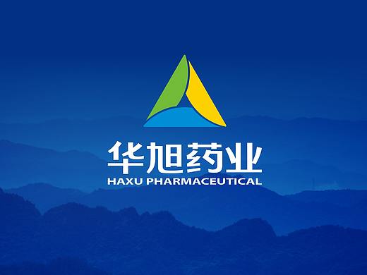 河北华旭药业
