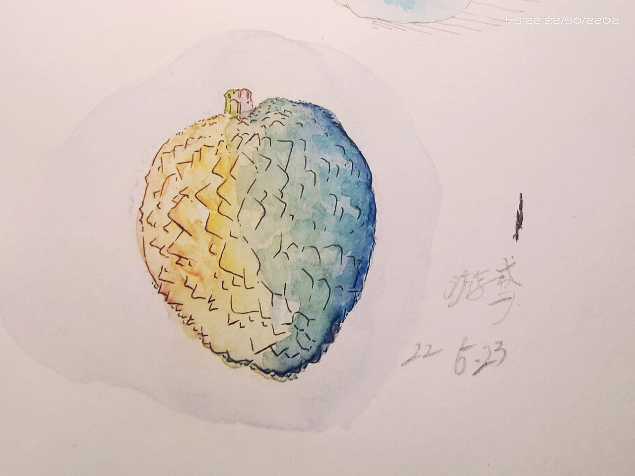 The thirteenth day of sketching