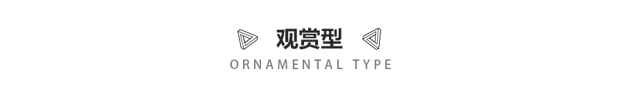 【室内图文】室内绿植的种类，‘花花世界’的辨别选择（图ZMTM5MzY1MzEy） - 家装设计 - 站酷设计师天琥云课堂原创素材 - 站酷ZCOOL
