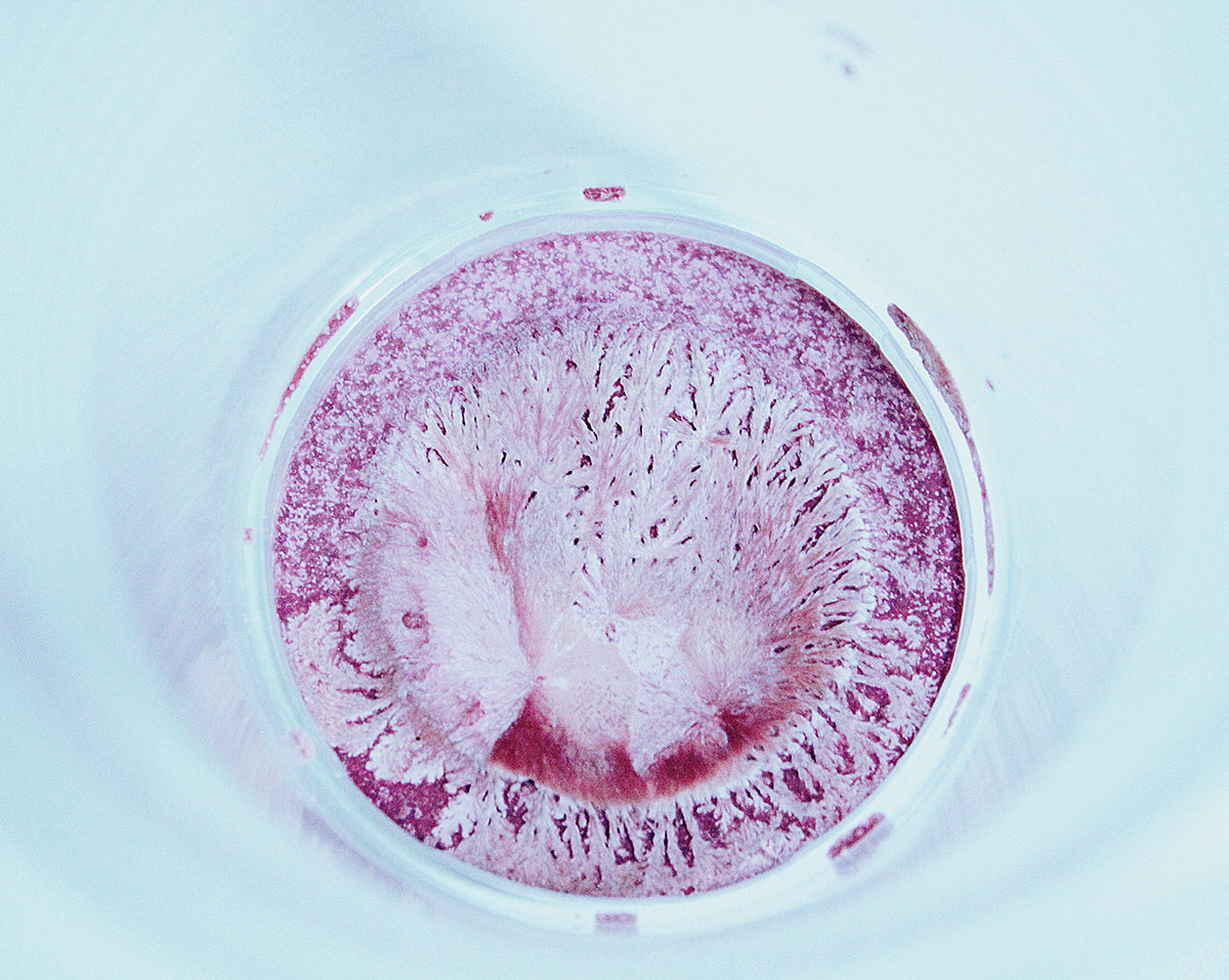 五颜六色（图ZMjAwNzMwNDIw） - 产品摄影 - 站酷设计师什么都不灰灰原创素材 - 站酷ZCOOL