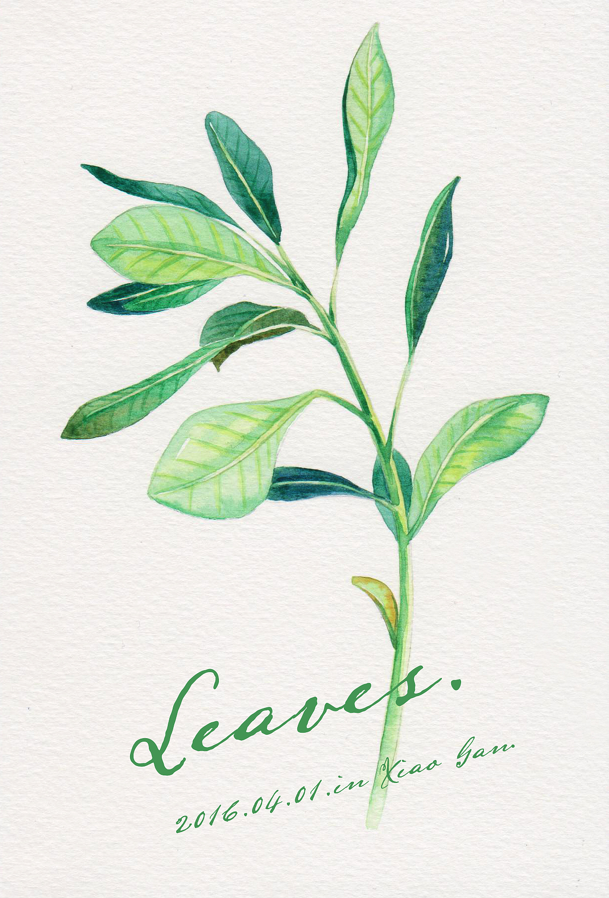 三木花草（小過程3）（圖ZNDU3NzQwNDA=） - 商業(yè)插畫 - 站酷設(shè)計(jì)師吳都Jasmine原創(chuàng)素材 - 站酷ZCOOL