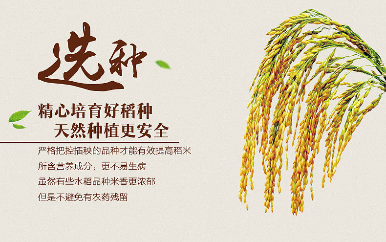 淘宝天猫详情页首页主页大米（图ZNTUyODA3MDg=） - 运营设计 - 站酷设计师mabin_27200原创素材 - 站酷ZCOOL
