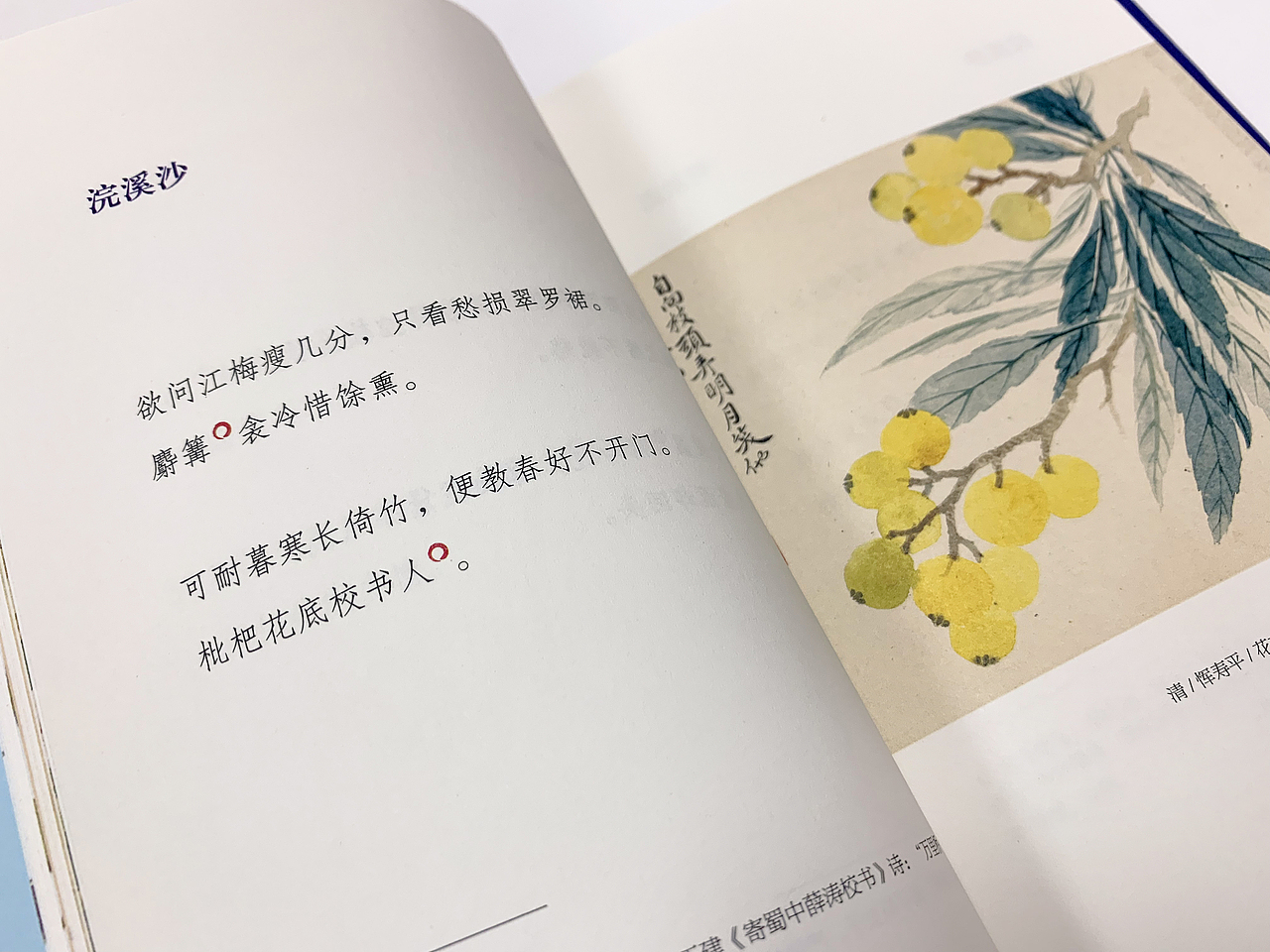 书籍设计《纳兰词》（图ZMTkxMzk3MzA4） - 书籍/画册 - 站酷设计师白沙原创素材 - 站酷ZCOOL