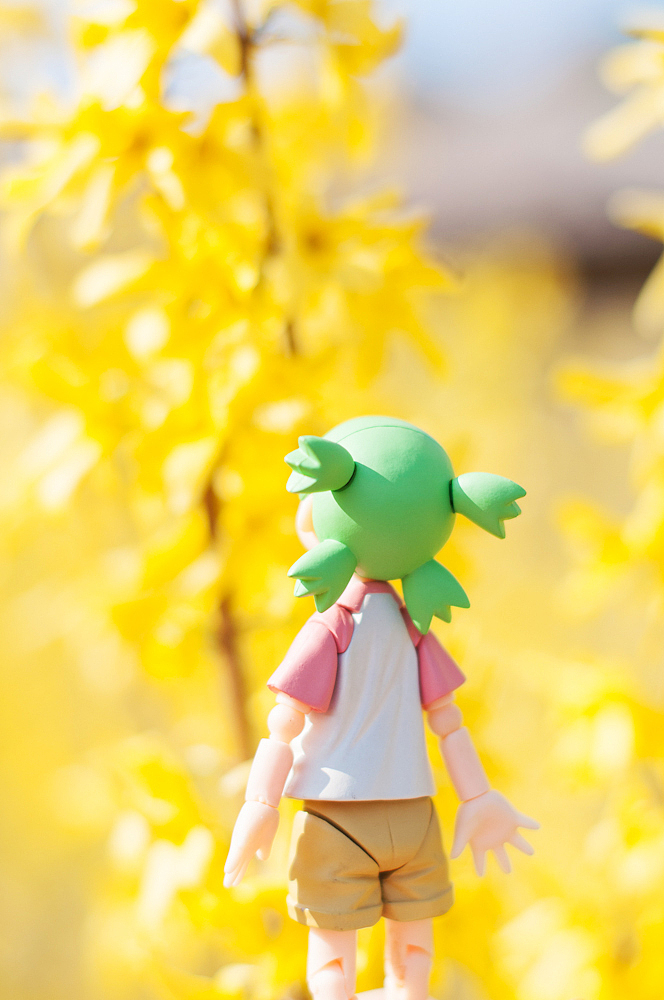 2015.04.28-30 大连的小清新（图ZNDIxMTU0MjQ=） - 风光摄影 - 站酷设计师minasue原创素材 - 站酷ZCOOL