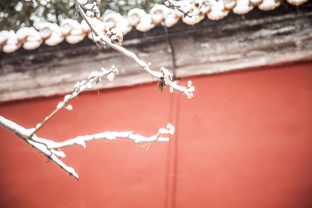 故宫初雪（图ZMTk0MzE2MDg4） - 风光摄影 - 站酷设计师雪梨棉原创素材 - 站酷ZCOOL