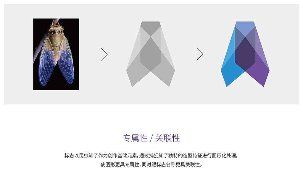 设计提案，三选一您喜欢那个？（图ZOTI3MDc2NTY=） - 品牌 - 站酷设计师UCI联合创智设计原创素材 - 站酷ZCOOL