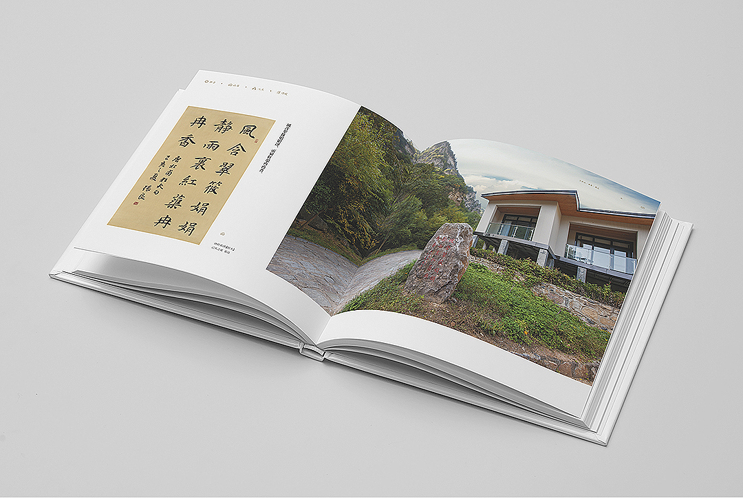 两本好厚的画册截选。（图ZMjQ3MjgyOTIw） - 书籍/画册 - 站酷设计师王铮sensoo原创素材 - 站酷ZCOOL