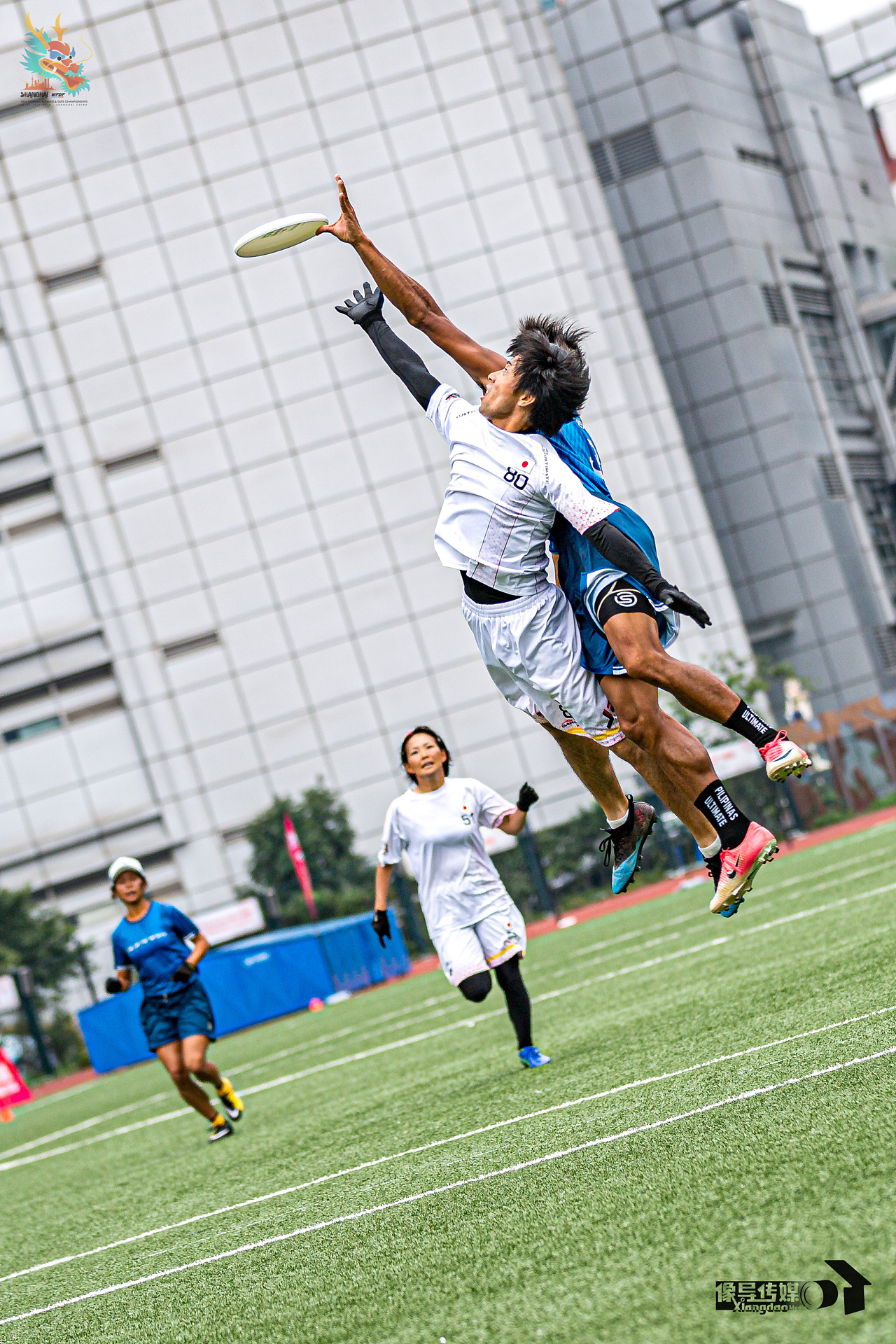 极限飞盘竞技作品集sportsphotographyofultimate
